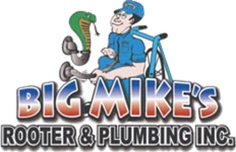 Big Mike's Rooter & Plumbing Company, Inc.